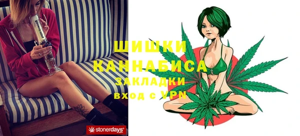 PSILOCYBIN Наволоки